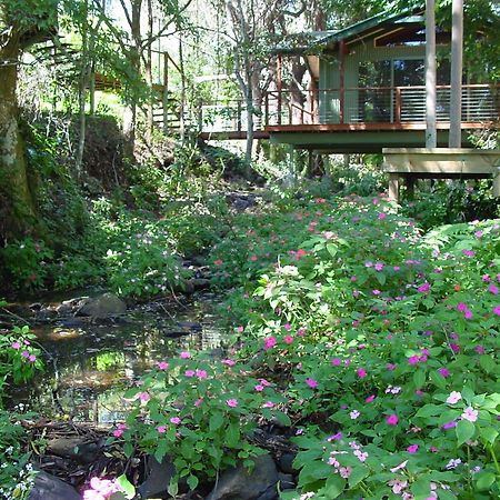 Treetops Montville Luaran gambar