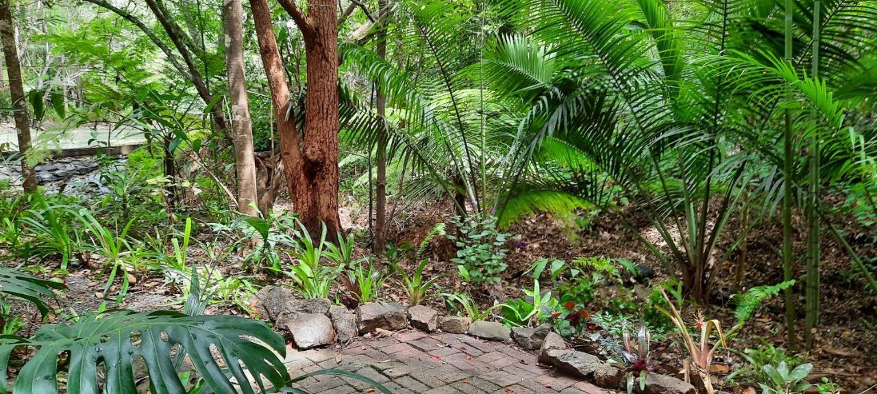 Treetops Montville Luaran gambar