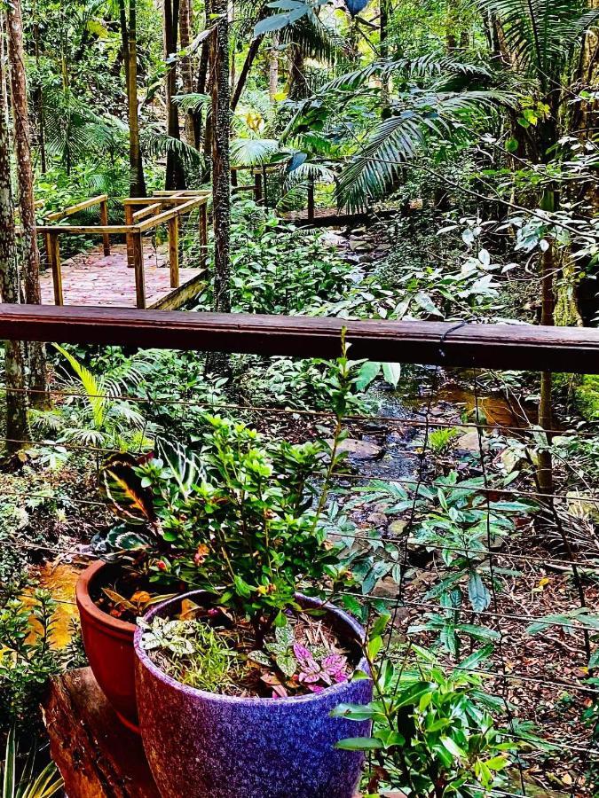 Treetops Montville Luaran gambar
