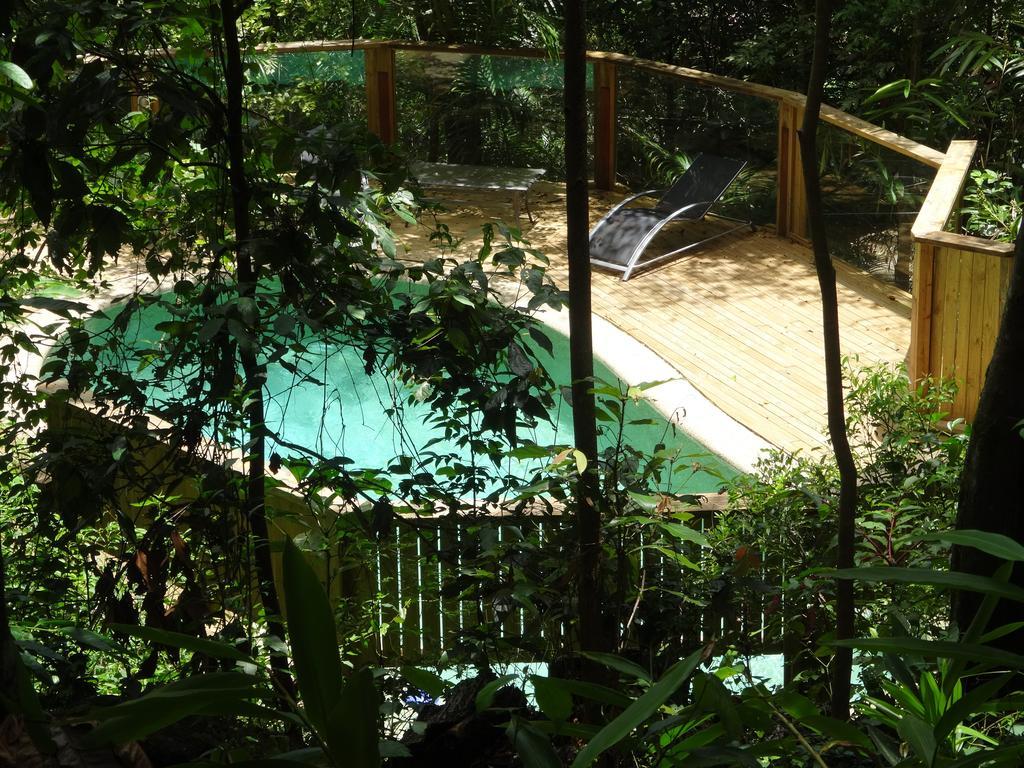 Treetops Montville Luaran gambar