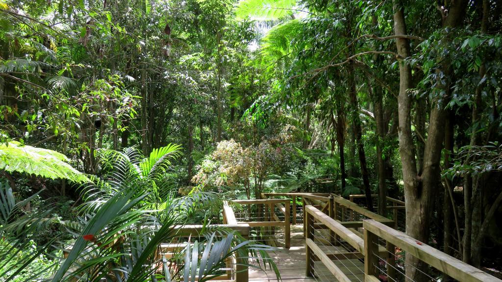 Treetops Montville Luaran gambar
