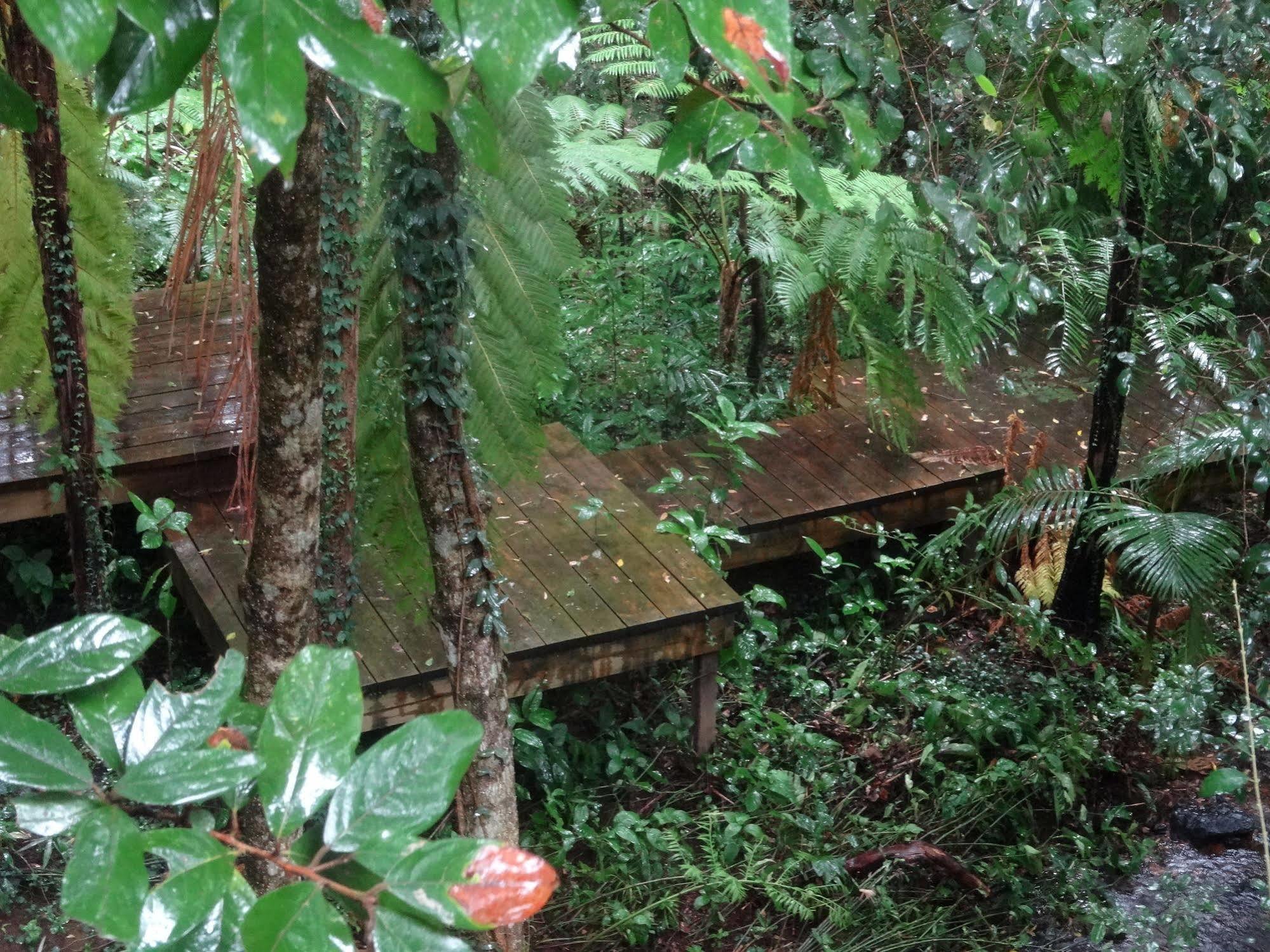 Treetops Montville Luaran gambar