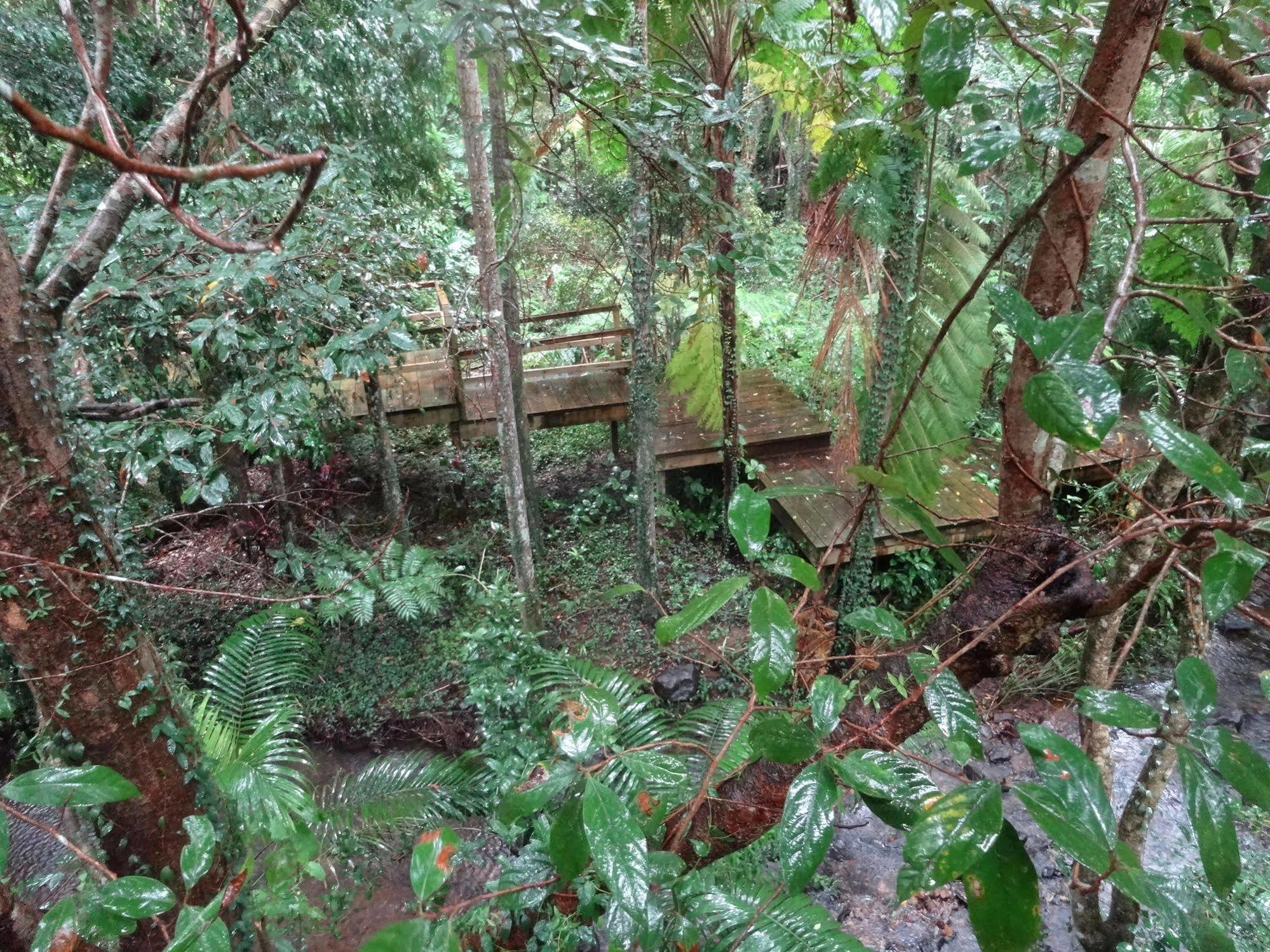 Treetops Montville Luaran gambar